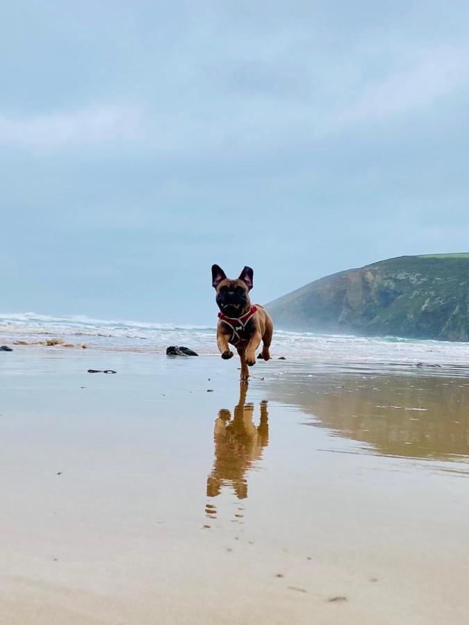 Daphne's Lodge Mawgan Porth Exterior foto